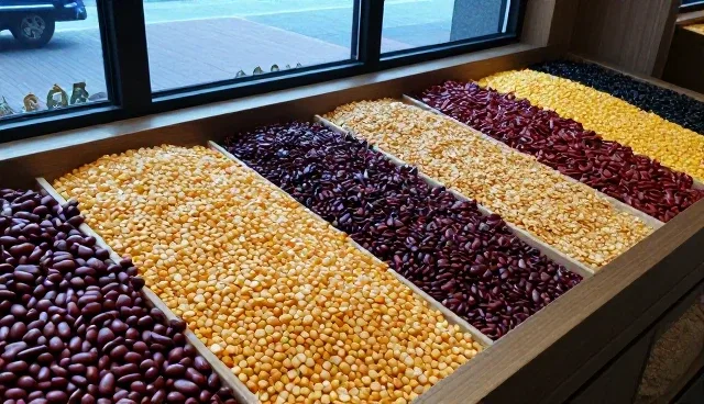 玉米豆类混合产品种植管理的适用条件与限制分析